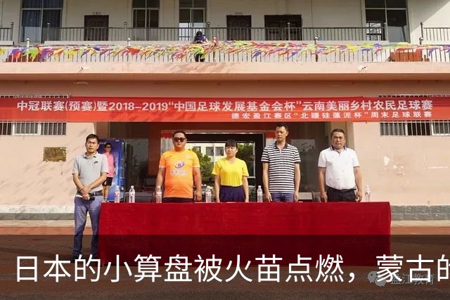日本的小算盘被火苗点燃，蒙古的稀土梦又碎了